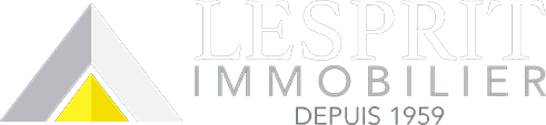 LESPRIT IMMOBILIER
